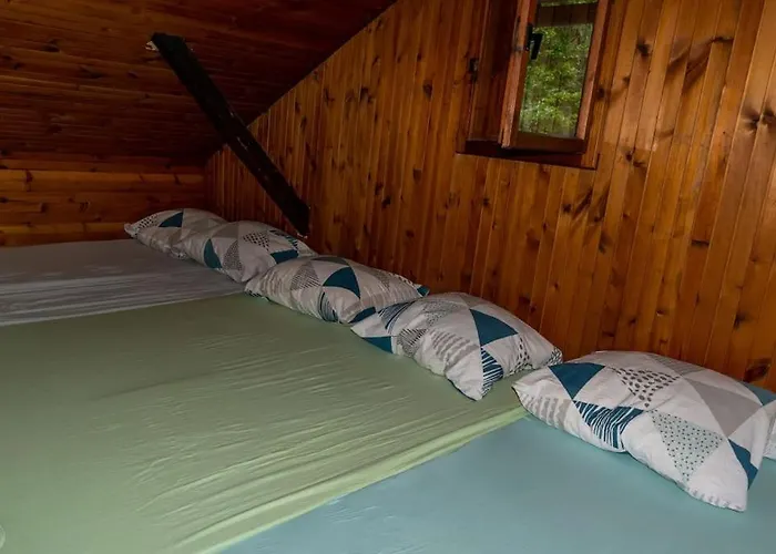 公寓 Puscava 克拉尼